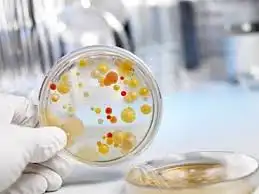 Микрофрола