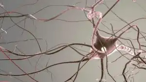 uchenye-vyyasnili-kak-litij-uspokaivaet-nervy