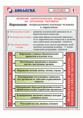 пить