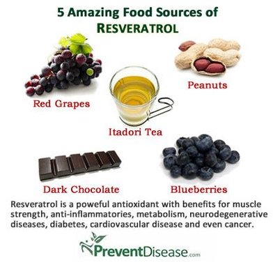 resveratrol resveratrol