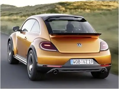 beetle beetle