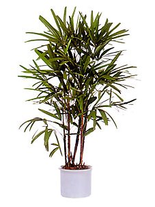 потребление потребление