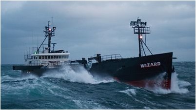 смертельных случаев