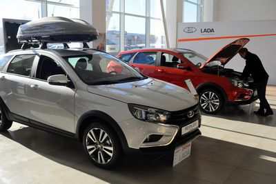 Сделайте свой автомобиль зоной, свободной от вредителей