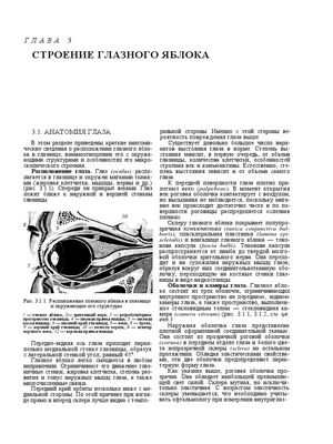 Тормозная система Volkswagen снижает количество исков третьих лиц о травмах