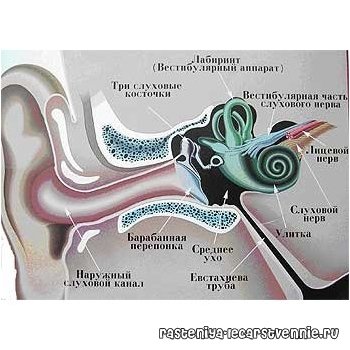 воспаление воспаление